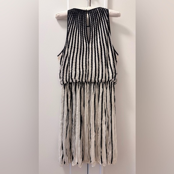 Anthropologie Black and White Striped Midi Dress - Picture 6 of 8